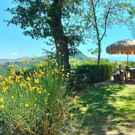 Grosse Mit Blick Von Den Bergen Bis Zum By Interhome Appartamento Penna San Giovanni